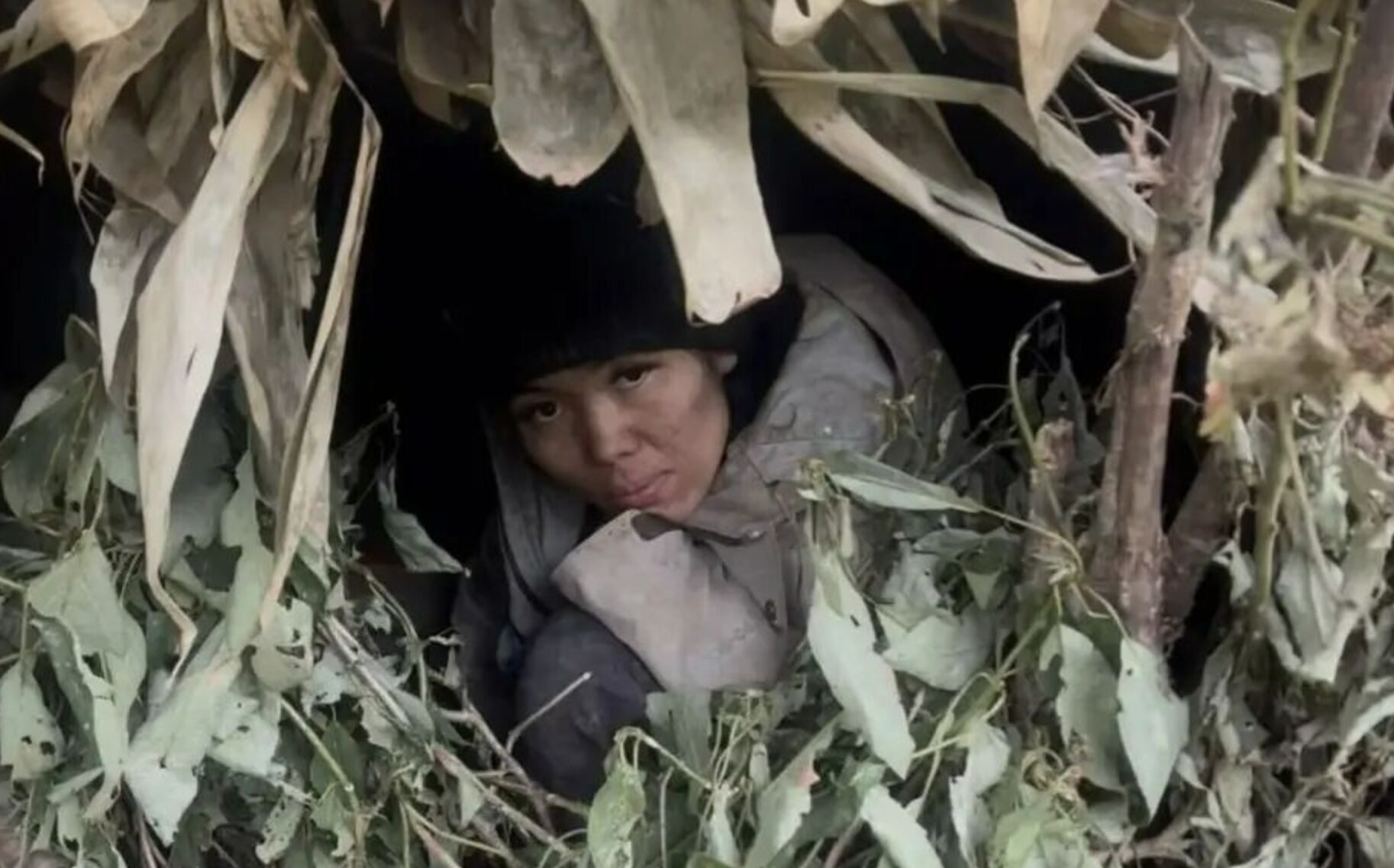 ▲張家界荒野求生賽僅存的女參賽者「冷美人」楊朝芹。(圖/翻攝都市快報)