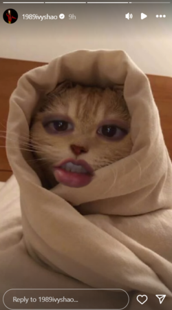 ▲▼邵雨薇。(圖/翻攝自Instagram/1989ivyshao)