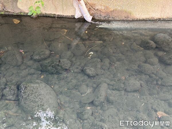 ▲▼嬰兒棄屍。(圖/)