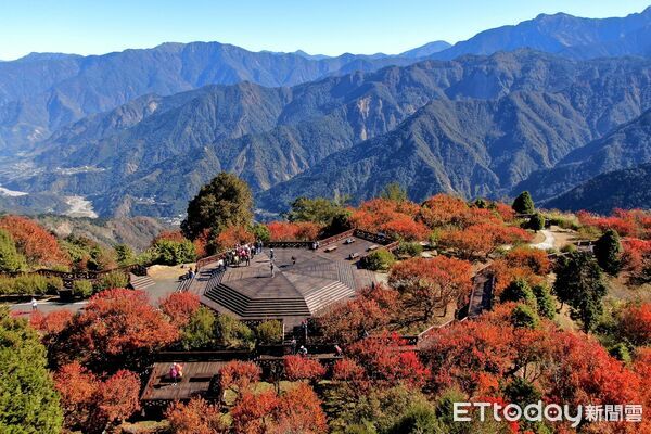 ▲▼ 小笠原平台楓景(圖/林鐵及文資處 吳明翰拍攝)