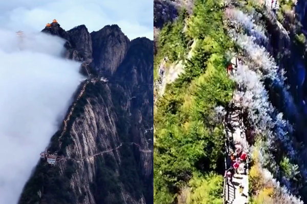 ▲老君山現「陰陽分界」奇觀。(圖/翻攝自微博,上同)