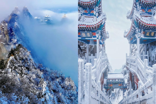 ▲▼老君山現「陰陽分界」奇觀。(圖/翻攝自微博)