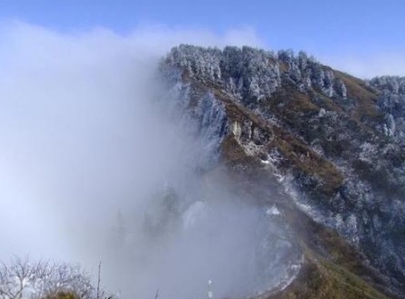 ▲▼老君山現「陰陽分界」奇觀。(圖/翻攝自微博)