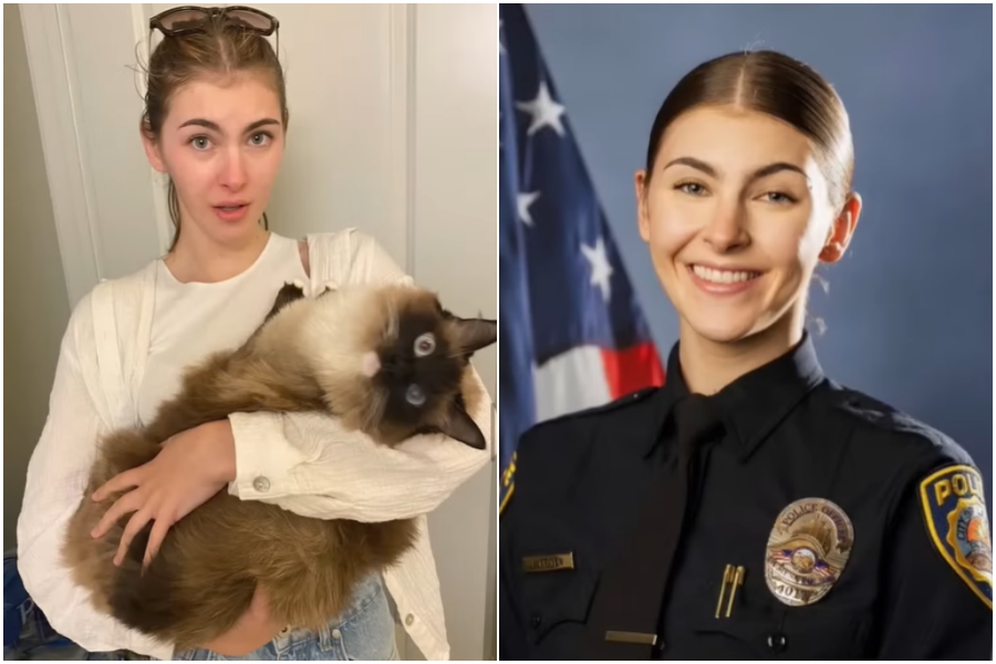 ▲▼ 。(圖/翻攝自YouTube)