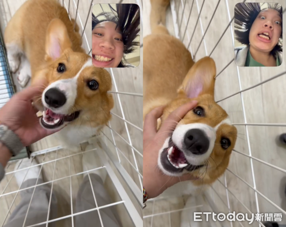 擼狗視角奴才自己嚇到。(圖/Threads@sandy05_24提供)