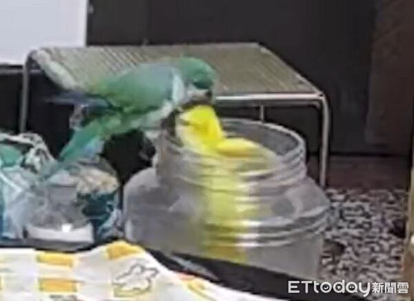 ▲。(圖/Threads@chenyunyun2003提供,請勿隨意翻拍,以免侵權。)