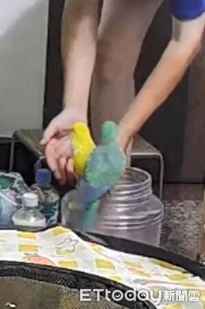 ▲。(圖/Threads@chenyunyun2003提供,請勿隨意翻拍,以免侵權。)