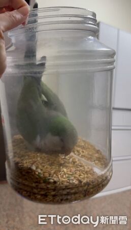 ▲。(圖/Threads@chenyunyun2003提供,請勿隨意翻拍,以免侵權。)