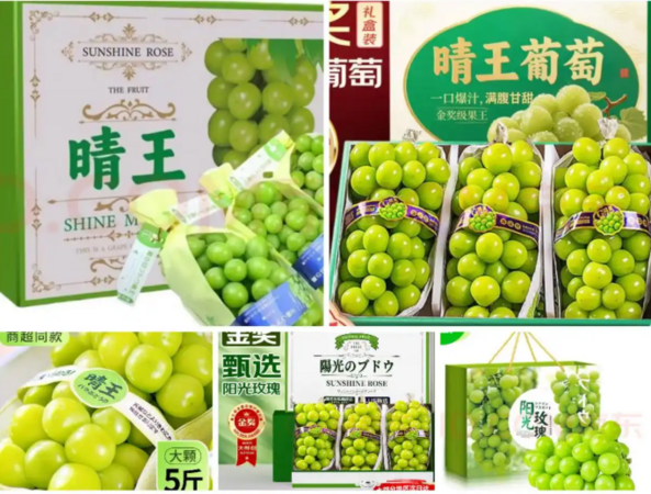 ▲▼陽光玫瑰葡萄陸市場亂象。(圖/翻攝自微博)