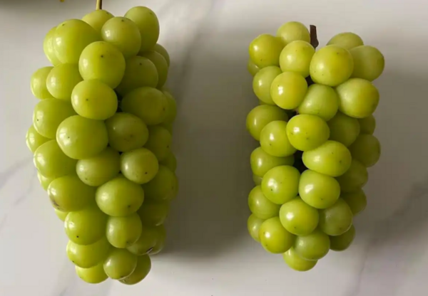 ▲▼陽光玫瑰葡萄陸市場亂象。(圖/翻攝自微博)