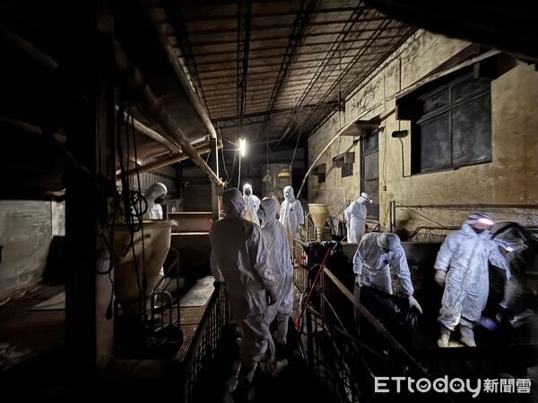 ▲▼台中非洲豬瘟案例場環境仍有病毒,國防部化學兵支援清消工作。(圖/農業部提供)