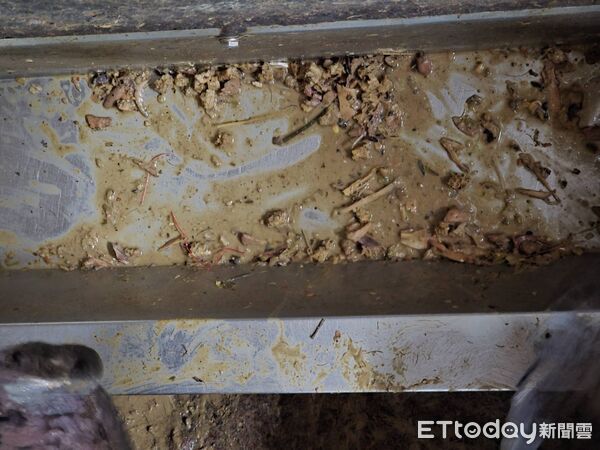 ▲▼ 新北泰山一間養豬場查獲飼料槽、廚餘蒸煮槽仍留有廚餘。(圖/新北市農業局提供,下同)