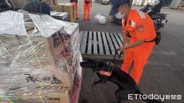 ▲海巡署金馬澎分署因應非洲豬瘟疫情,加強離島返臺航線的船舶、貨物、旅客行李檢查。(圖/記者鄭逢時翻攝)