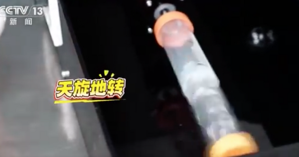 ▲▼神舟21號帶4隻「太空鼠」升空,之後也會隨著太空船返回地球,做進一步的科學研究。(圖/翻攝自央視)