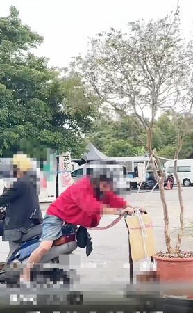 ▲桃園市大溪區日前有網友PO出影片,機車雙載後座阿伯拉著有近3公尺樹葡萄苗,非常驚險。(圖/大溪警方提供)