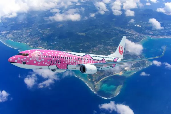 ▲▼日本越洋航空。(圖/翻攝自日本航空臉書專頁)