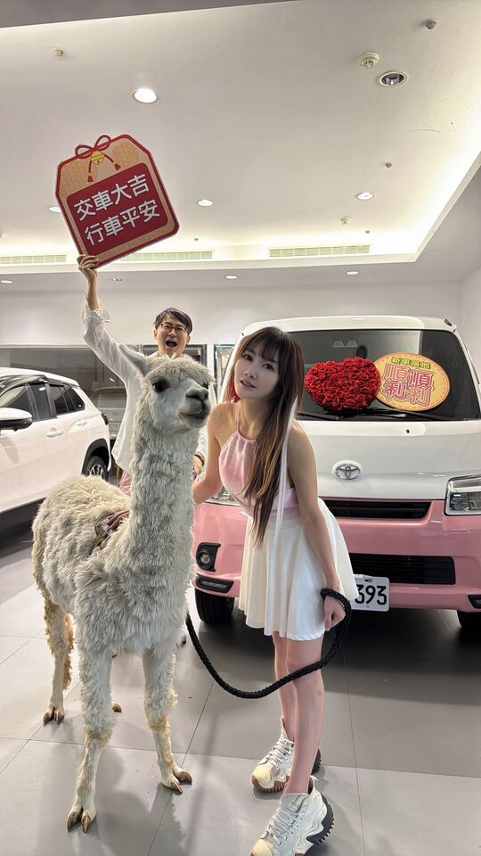 ▲▼王宥忻為羊駝麥可換新車。(圖/《女神愛啪啪 IPAPA》提供)