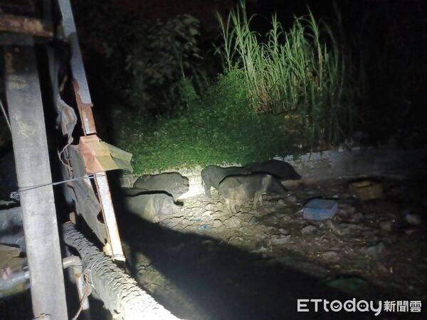 ▲▼ 。(圖/民眾提供)