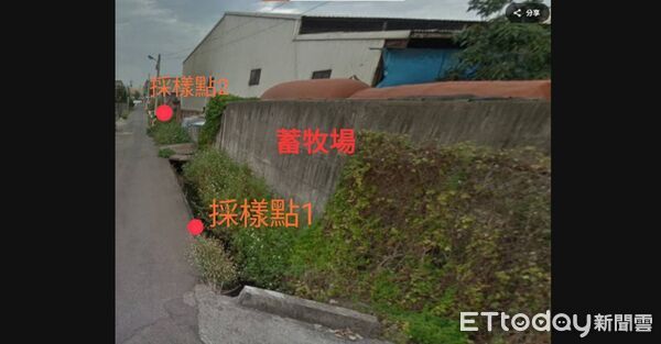 ▲水溝,採檢,非洲豬瘟。(圖/記者游瓊華攝)