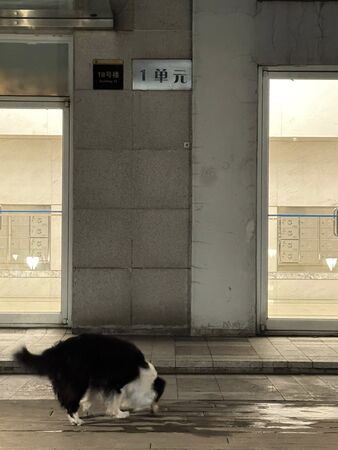 ▲▼葛斯齊親赴于朦朧墜亡現場。(圖/翻攝自臉書)