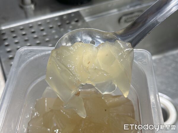 ▲▼迷客夏。(圖/記者蕭筠攝)