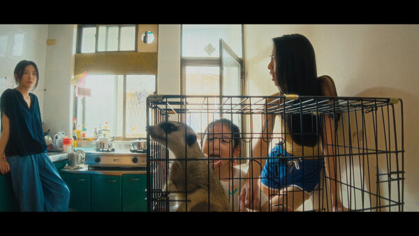 ▲《左撇子女孩》首週票房開出紅盤。(圖/光年映畫提供)