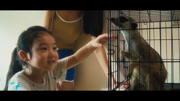 ▲《左撇子女孩》首週票房開出紅盤。(圖/光年映畫提供)