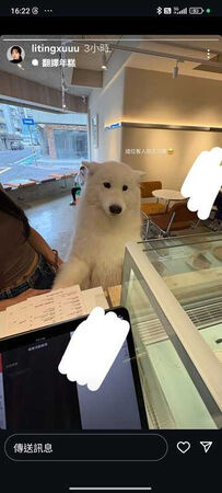 甜妹斜槓中1/可愛咖啡廳店員竟是「柯震東師妹」!許莉廷備餐打掃不馬虎