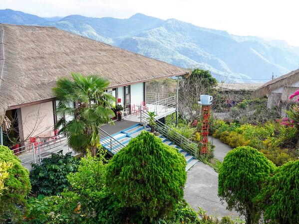 ▲▼阿里山。(圖/嘉義縣政府提供)