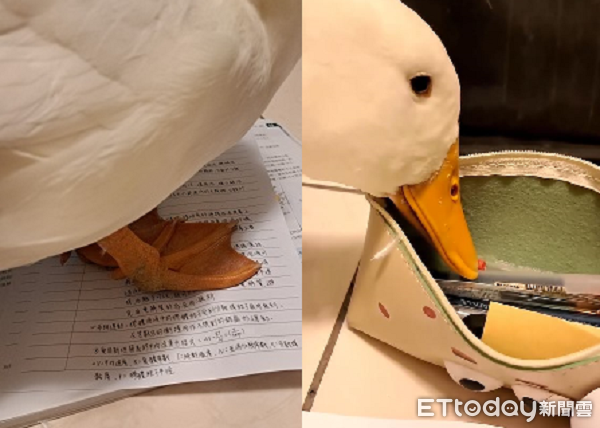 ▲。(圖/Threads提供,請勿隨意翻拍,以免侵權。)