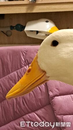 ▲。(圖/Threads提供,請勿隨意翻拍,以免侵權。)