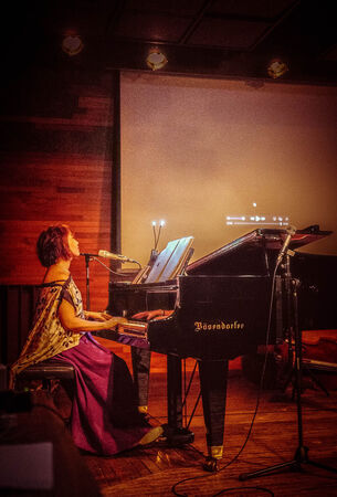 ▲▼ 阮丹青舉辦音樂會。(圖/羅藝 x 阮丹青工作室提供)