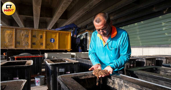 被聯合國喻為「大自然清道夫」的黑水虻(Black Soldier Fly),因其強大的繁殖速度及分解廚餘的能力,廣受國際重視。(圖/CTWANT攝影組)