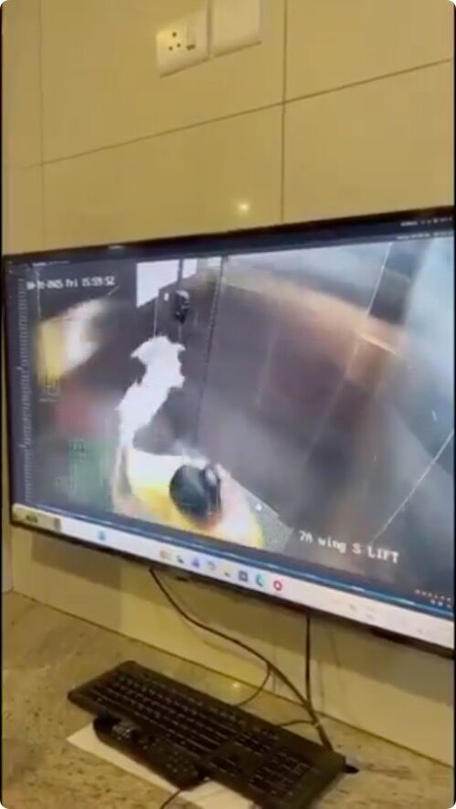 ▲▼印度保母虐死狗。(圖/翻攝X/sagayrajp)