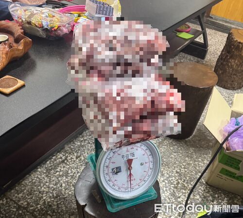 ▲▼ 。(圖/社團法人新竹縣流浪動物珍愛協會提供)