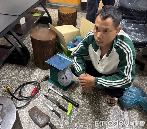 ▲▼ 。(圖/社團法人新竹縣流浪動物珍愛協會提供)