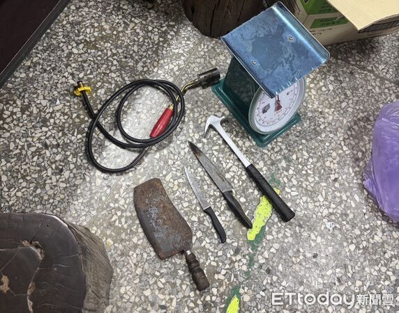 ▲▼ 。(圖/社團法人新竹縣流浪動物珍愛協會提供)