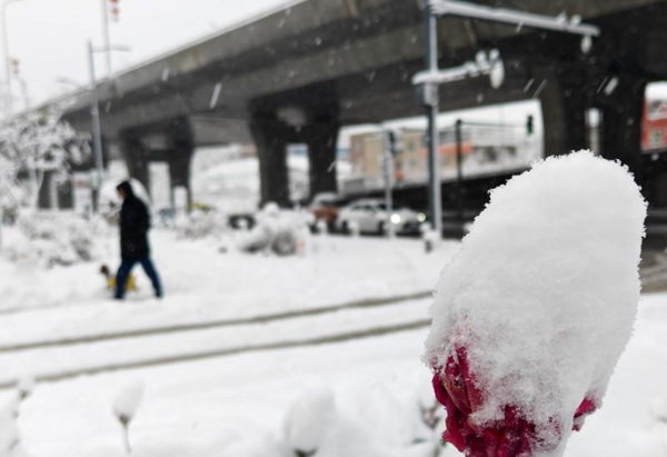 ▲大雪紛飛的烏魯木齊。(圖/翻攝自微博,下同)