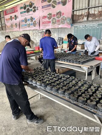 ▲廚餘不進豬圈進花園,竹山鎮打造「會開花的循環經濟」。(圖/竹山鎮公所提供)