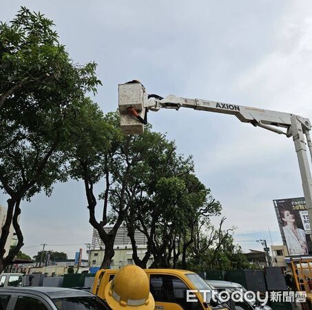 ▲台電台南區處因應鳳凰颱風提前部署,進行樹修與配電巡檢。(記者林東良翻攝,下同)