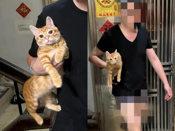 ▲。(圖/Threads@kristytien提供,請勿隨意翻拍,以免侵權。)