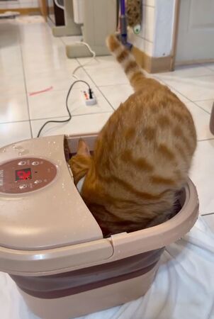 ▲。(圖/Threads@kristytien提供,請勿隨意翻拍,以免侵權。)