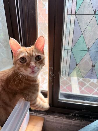 ▲。(圖/Threads@kristytien提供,請勿隨意翻拍,以免侵權。)