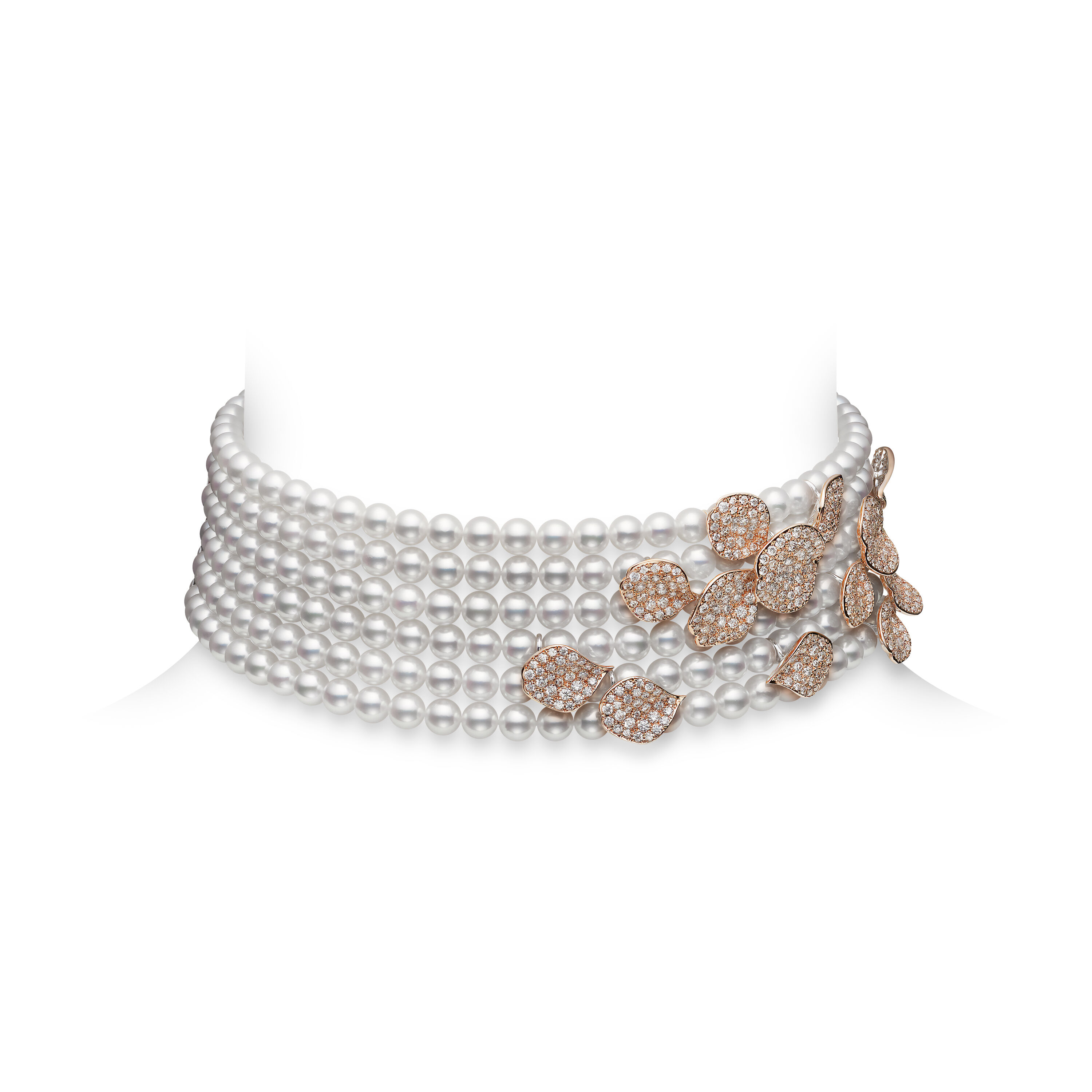 ▲▼ 楊紫瓊 。(圖/翻攝IG)