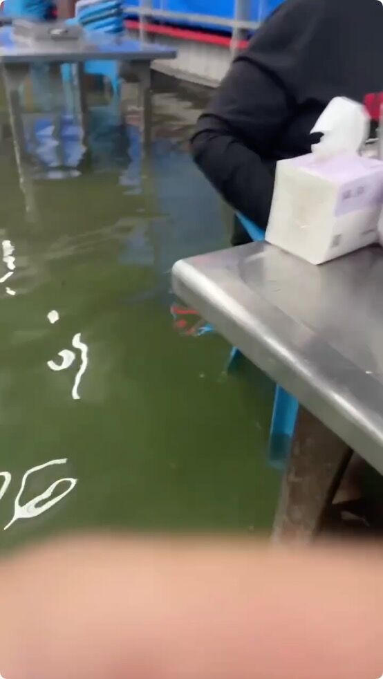 ▲▼沉浸式釣蝦場。(圖/翻攝Threads)