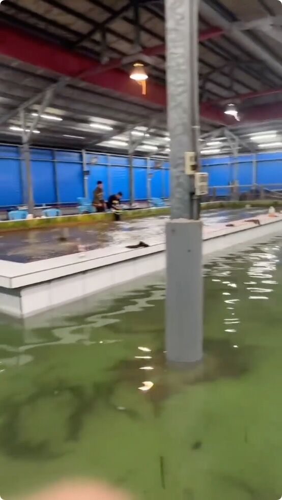 ▲▼沉浸式釣蝦場。(圖/翻攝Threads)