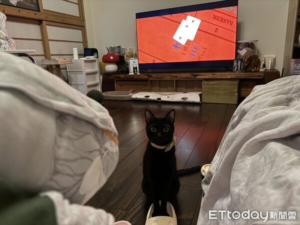 ▲。(圖/Threads@wooyameow提供,請勿隨意翻拍,以免侵權。)