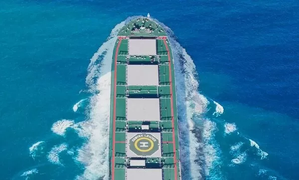 ▲裕民、中航、新興都擁有海岬型船船隊。(圖/取自裕民官網)