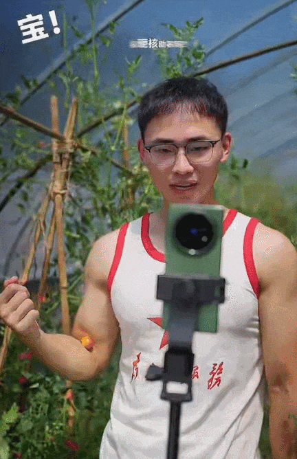 ▲路「最帥村幹部」秀肌肉夾爆柿子行銷農產品爆紅。(圖/翻攝微博)