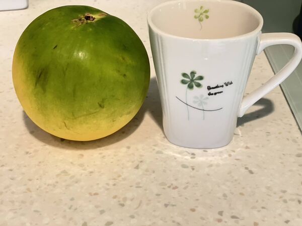 彭華幹聲稱朋友在龜吼漁港買黃金果被坑殺。(圖/翻攝自Facebook/彭華幹)